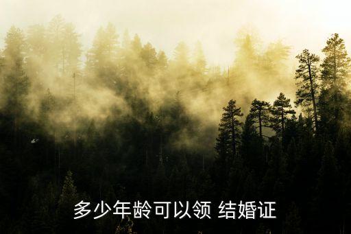 多少年齡可以領(lǐng) 結(jié)婚證