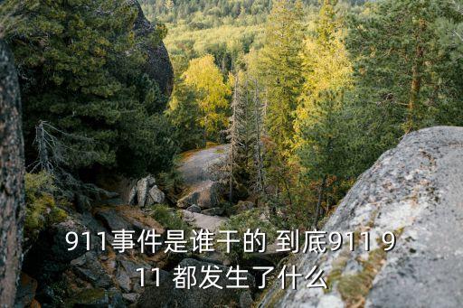 911事件是誰(shuí)干的 到底911 911 都發(fā)生了什么