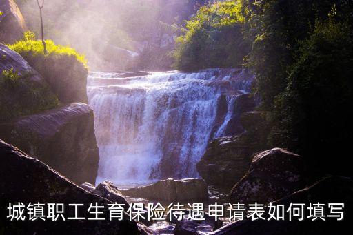 城鎮(zhèn)職工生育保險待遇申請表如何填寫