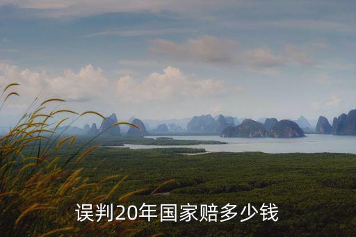 誤判20年國家賠多少錢