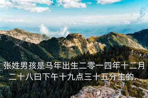 張姓男孩是馬年出生二零一四年十二月二十八曰下午十九點三十五分生的...