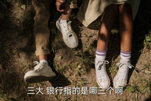 三大政策性銀行,我國三大政策性銀行