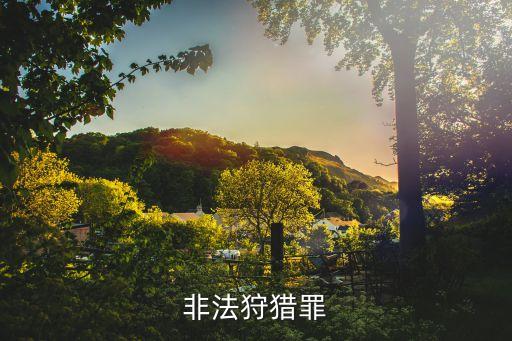 非法狩獵罪，非法狩獵罪