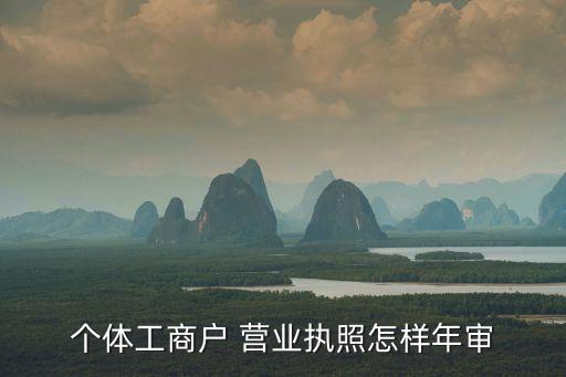 個體工商戶 營業(yè)執(zhí)照怎樣年審