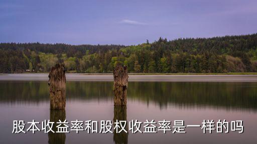 股本收益率和股權(quán)收益率是一樣的嗎