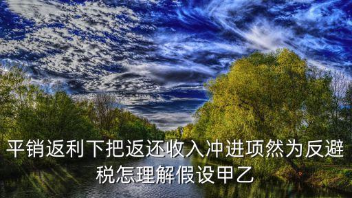 反避稅，平銷返利下把返還收入沖進項然為反避稅怎理解假設甲乙