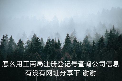 怎么用工商局注冊登記號查詢公司信息有沒有網址分享下 謝謝