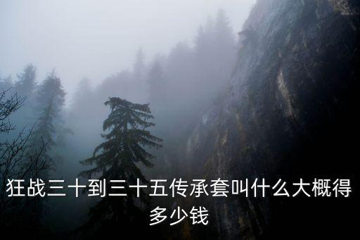狂戰(zhàn)三十到三十五傳承套叫什么大概得多少錢
