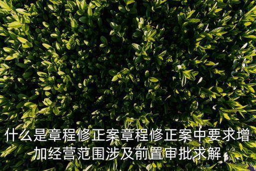 什么是章程修正案章程修正案中要求增加經(jīng)營范圍涉及前置審批求解