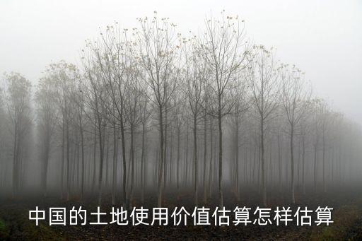 中國的土地使用價(jià)值估算怎樣估算