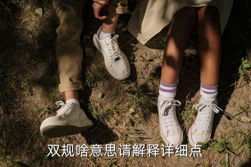 雙規(guī)，什么是雙規(guī)