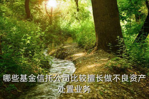 不良資產(chǎn)處置公司，哪些基金信托公司比較擅長做不良資產(chǎn)處置業(yè)務