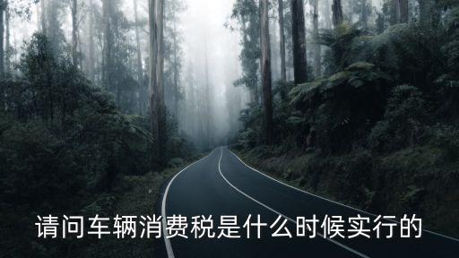 汽車消費(fèi)稅，請問車輛消費(fèi)稅是什么時(shí)候?qū)嵭械?/></a></span><span id=