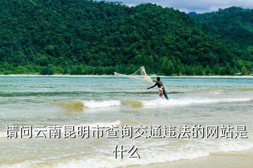 請問云南昆明市查詢交通違法的網(wǎng)站是什么