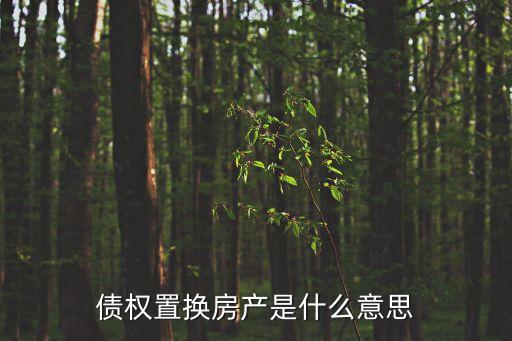 債權(quán)置換，什么是債權(quán)債務(wù)置換
