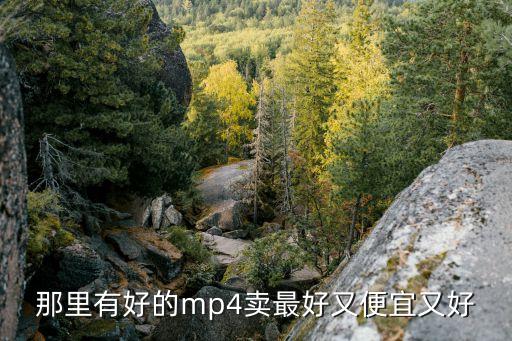 那里有好的mp4賣最好又便宜又好