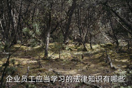 企業(yè)法律，企業(yè)員工應(yīng)當(dāng)學(xué)習(xí)的法律知識(shí)有哪些