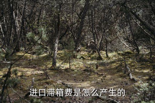 進(jìn)口滯箱費(fèi)是怎么產(chǎn)生的