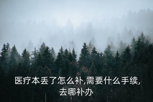  醫(yī)療本丟了怎么補(bǔ),需要什么手續(xù),去哪補(bǔ)辦