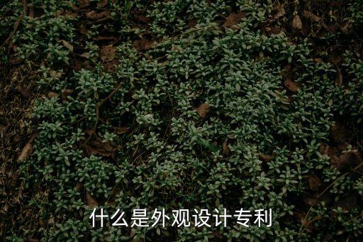 什么是外觀設(shè)計專利