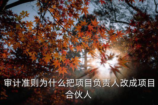 審計準(zhǔn)則為什么把項目負(fù)責(zé)人改成項目合伙人