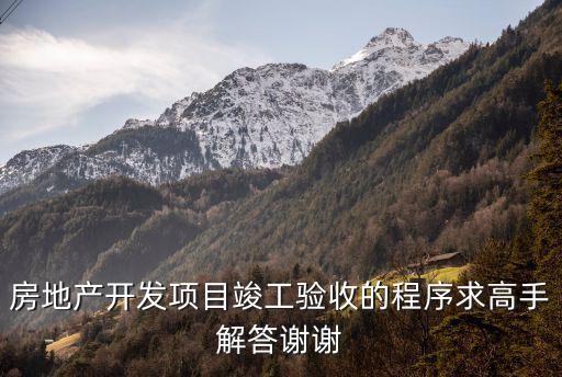 房地產(chǎn)開(kāi)發(fā)項(xiàng)目竣工驗(yàn)收的程序求高手解答謝謝