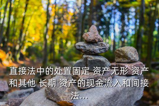 其他長(zhǎng)期資產(chǎn)
