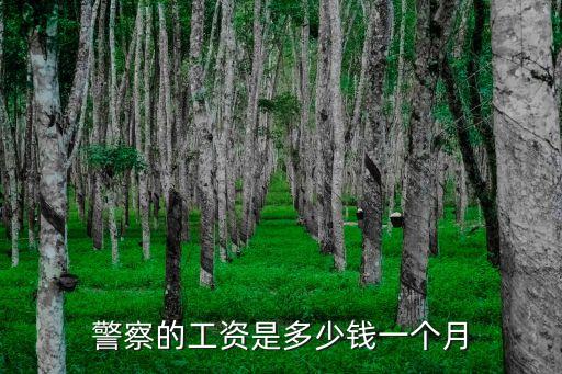 警察的工資是多少錢一個月