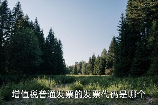 發(fā)票代碼是哪個，國稅和地稅票號有什么不同