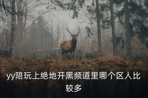 yy陪玩，YY上那些陪玩公會靠譜嗎