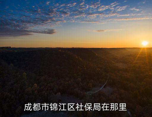 錦江區(qū)社保局，成都市錦江區(qū)社保局在那里