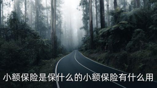 小額保險是保什么的小額保險有什么用