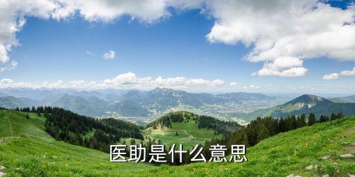 醫(yī)助是什么意思