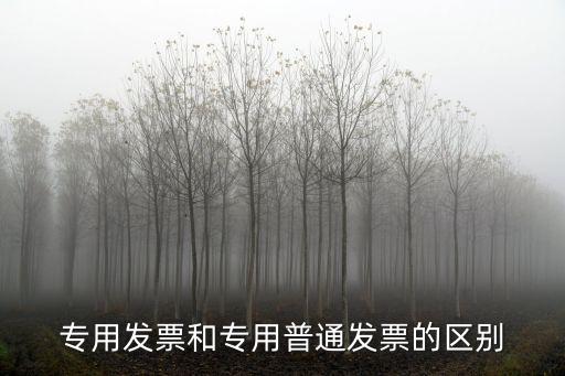 專用票據(jù)，專用發(fā)票和專用普通發(fā)票的區(qū)別