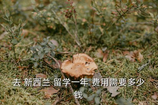 去 新西蘭 留學一年 費用需要多少錢