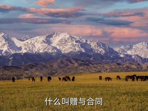 贈(zèng)與合同，什么叫贈(zèng)與合同