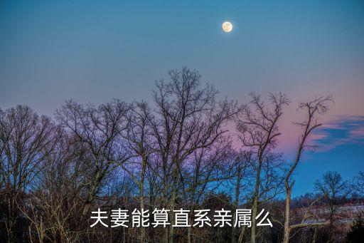 夫妻是直系親屬嗎，夫妻算直系親屬嗎