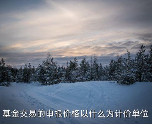 基金交易的申報(bào)價(jià)格以什么為計(jì)價(jià)單位