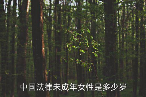 未成年女孩，中國法律未成年女性是多少歲