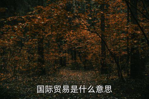 國際貿易是什么意思