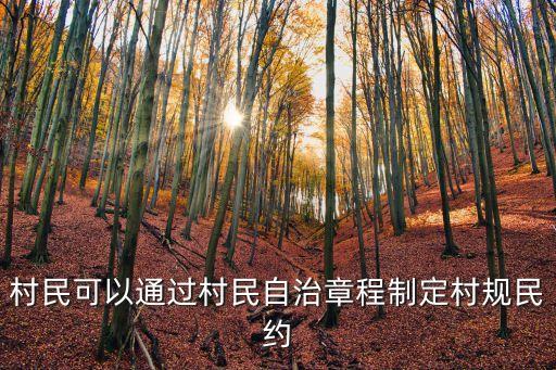 村民自治章程，如何制定計劃生育村民自治章程