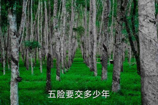 五險(xiǎn)要交多少年