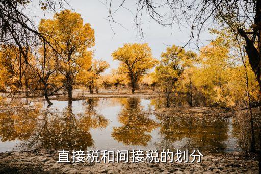 直接稅和間接稅的劃分