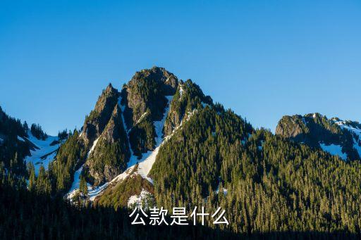 公款，什么叫公款