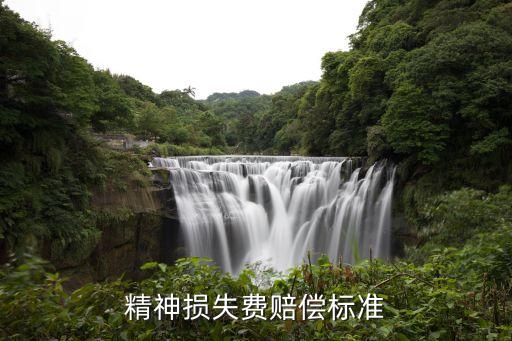 精神損害，什么叫人身精神損失