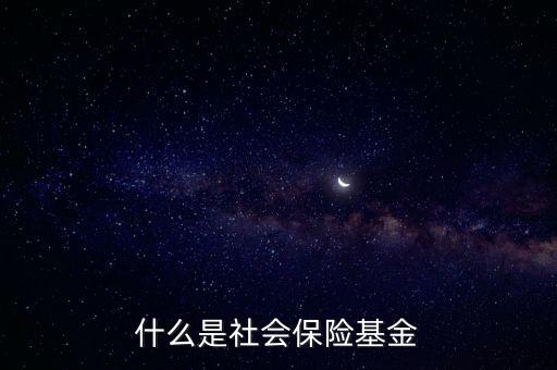 什么是社會保險基金