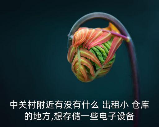 中關(guān)村附近有沒有什么 出租小 倉庫的地方,想存儲一些電子設(shè)備
