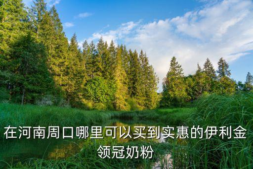 在河南周口哪里可以買到實惠的伊利金領(lǐng)冠奶粉