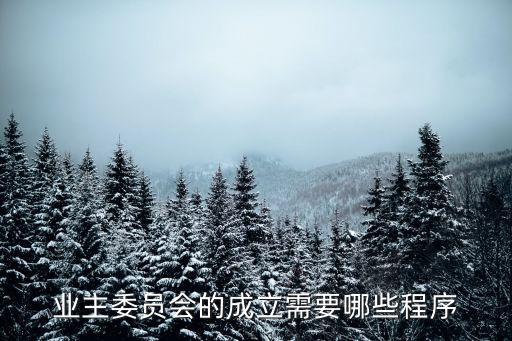 業(yè)主委員會(huì)的成立需要哪些程序