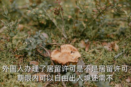 居留許可，外國(guó)人辦理了居留許可是不是居留許可期限內(nèi)可以自由出入境還需不